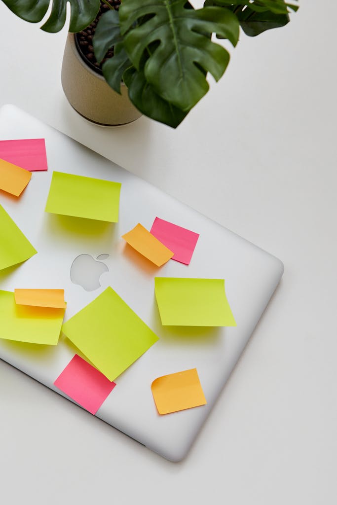Workspace featuring a laptop covered with colorful sticky notes and a nearby potted plant.
